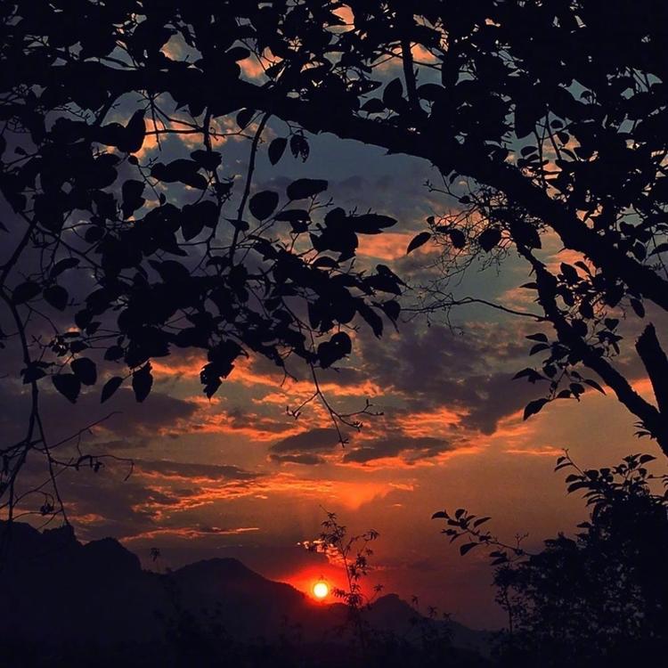 [头像]风景头像 夕阳无限好 只是近黄昏