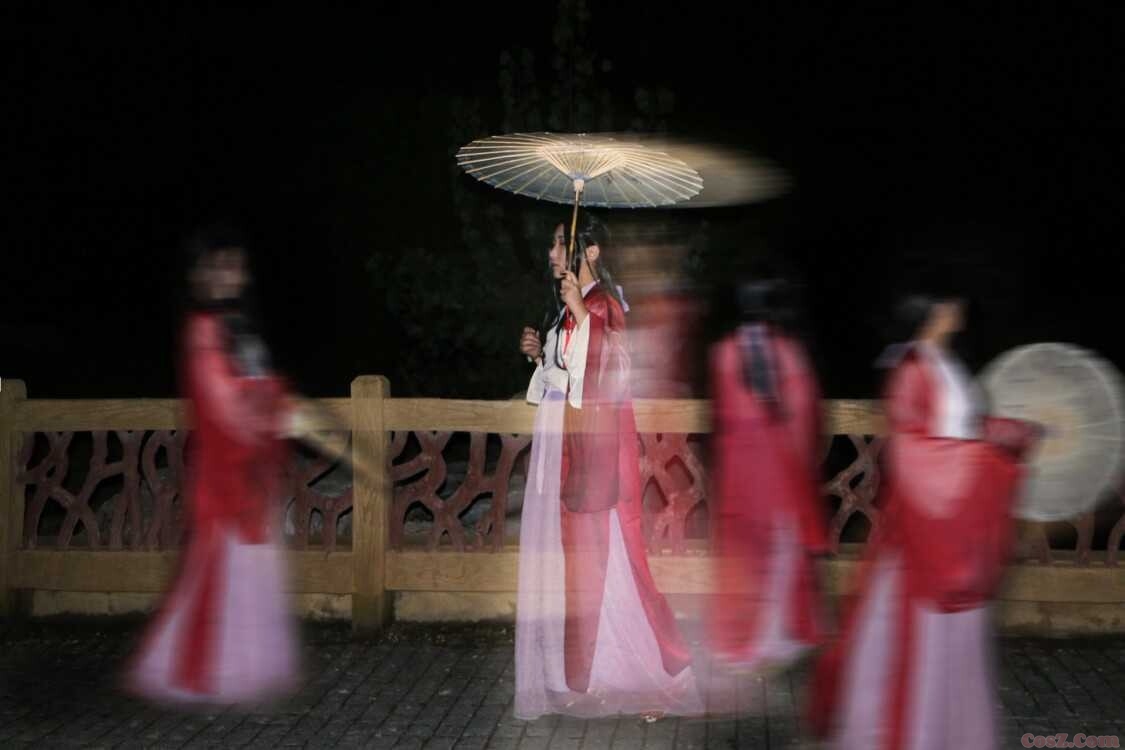 明教教主西域风情原来寻找一只沙漠骆驼！